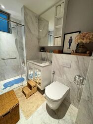 Cairnhill Crest (D9), Condominium #502213391